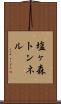 塩ヶ森トンネル Scroll
