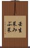 壬生菜 Scroll