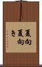 夏向 Scroll