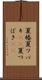 夏椿 Scroll