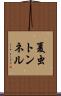 夏虫トンネル Scroll