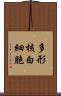 多形核白細胞 Scroll