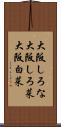 大阪しろな Scroll