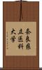 奈良県立医科大学 Scroll