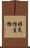 好気性生物 Scroll