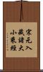 宋元入藏諸大小乘經 Scroll