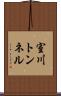 室川トンネル Scroll