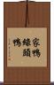 家鴨綠頭鴨 Scroll
