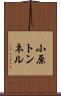 小原トンネル Scroll