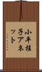 小平桂子アネット Scroll