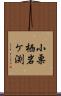 小栗栖岩ケ渕 Scroll