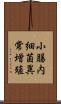 小腸内細菌異常増殖 Scroll