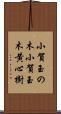 小賀玉の木 Scroll