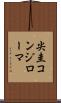 尖圭コンジローマ Scroll