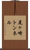 尾ヶ崎トンネル Scroll