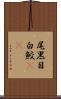尾黒目白鮫(rK) Scroll