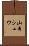 山本シュウ Scroll