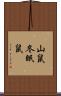 山鼠 Scroll