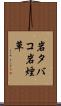 岩タバコ Scroll
