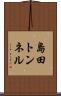 島田トンネル Scroll