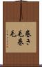 巻き毛 Scroll