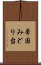 常国みどり台 Scroll
