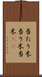 当たり木 Scroll
