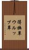 得撫草 Scroll