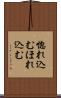 惚れ込む Scroll