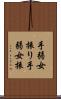 手弱女振り Scroll
