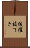 抜擢 Scroll