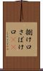 捌け口 Scroll