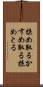 掠め取る Scroll