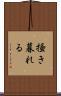 掻き暮れる Scroll