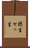 摂生 Scroll