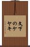 文下のケヤキ Scroll