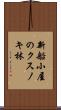 新船小屋のクスノキ林 Scroll