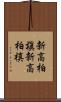 新高柏槇 Scroll