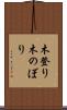 木登り Scroll