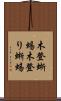 木登蜥蜴 Scroll