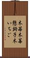 木苺 Scroll