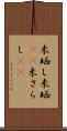 未晒し Scroll
