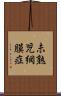 未熟児網膜症 Scroll