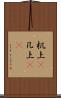 机上(P) Scroll