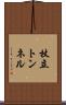 杖立トンネル Scroll