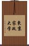 東京家政大学 Scroll