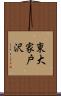 東大家戸沢 Scroll