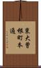 東大曽根町本通 Scroll