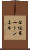 松坂第一トンネル Scroll