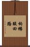 枸櫞酸回路 Scroll